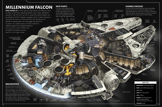 falcon-cross-section-sm