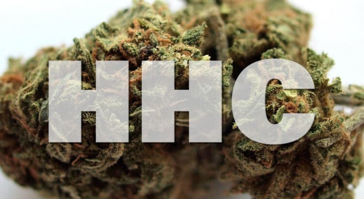 Your Quick Guide to HHC and Its Products