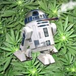 CBD Oil in Star Wars