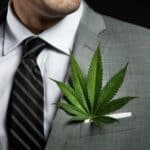 Navigating Financial Success: Essential Accounting Services for Cannabis Businesses