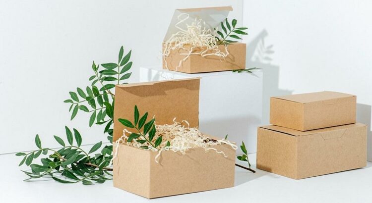 Whenever we buy something, 90% of the time the packaging is made of cardboard. Even if the brand has some small products, packaging remains constantly the same as for big products.