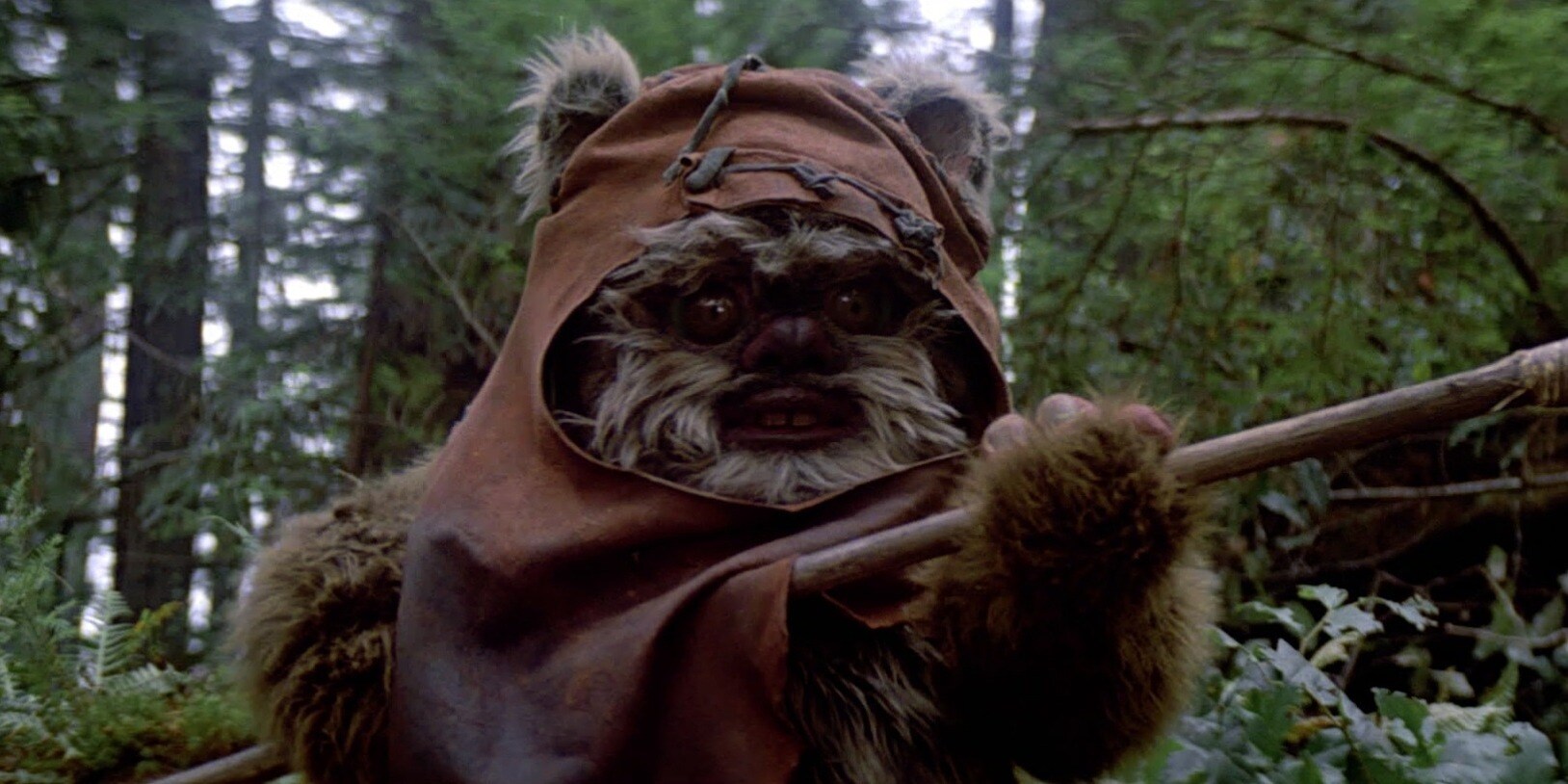 Why couldn’t Emperor Palpatine foresee the Ewoks of Endor and their involvement?