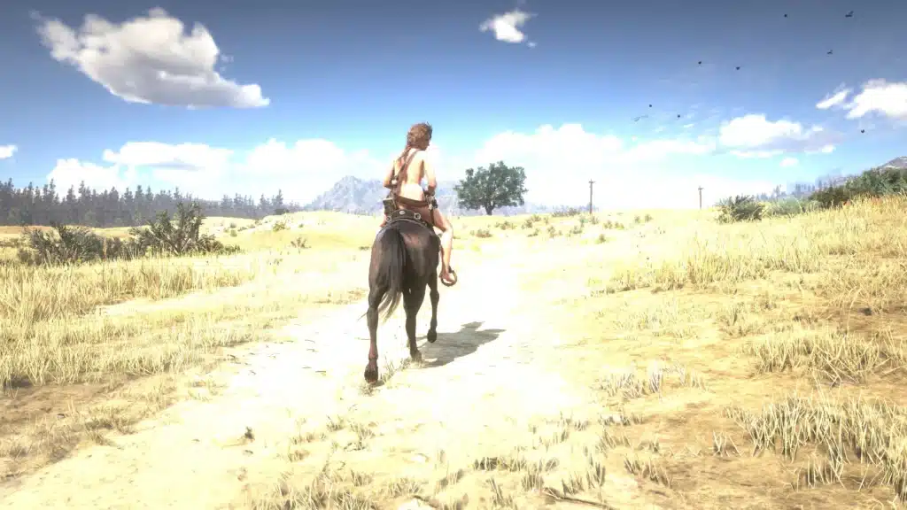 Red Dead Redemption 2: Sadie Nude Mod