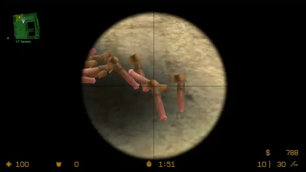 Counter-Strike: Source Gets a Quirky Twist with the Horse Dildo Mod