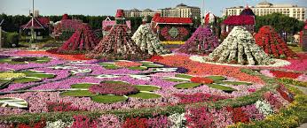 Dubai Miracle Garden: A Floral Oasis in the Desert