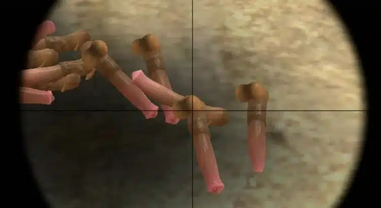 Counter-Strike: Source Gets a Quirky Twist with the Horse Dildo Mod