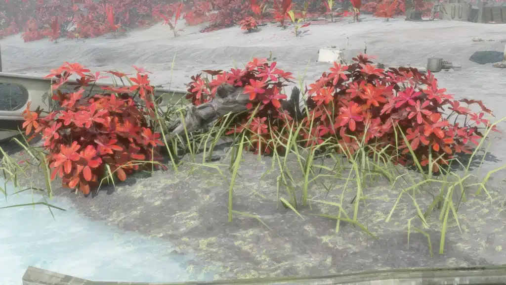 Red flowering plants on beach near scattered debris