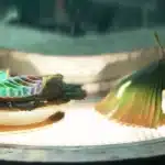 Star Wars Outlaws alien cuisine with exotic plating