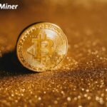 Bitcoin coin representing BTCMiner.net, a cloud mining platform under scam investigation
