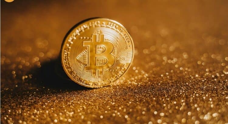 Bitcoin coin representing BTCMiner.net, a cloud mining platform under scam investigation