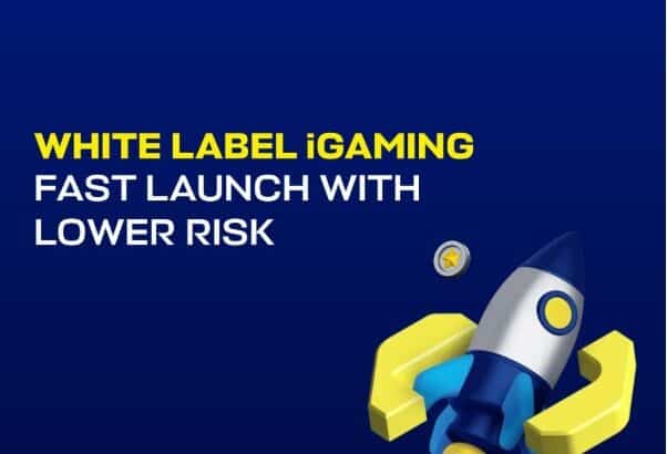 White Label iGaming: A Quick Way to Get into the Gaming Market